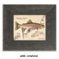 Rainbow Trout Fine Art Print - Sketch Paper Print