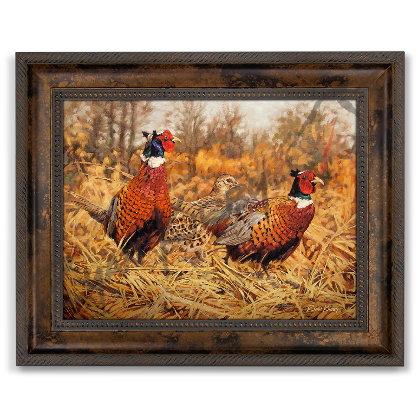 ’Ring-Neck Refuge’ Ring-Necked Pheasant Canvas Art Print Classic Bronze