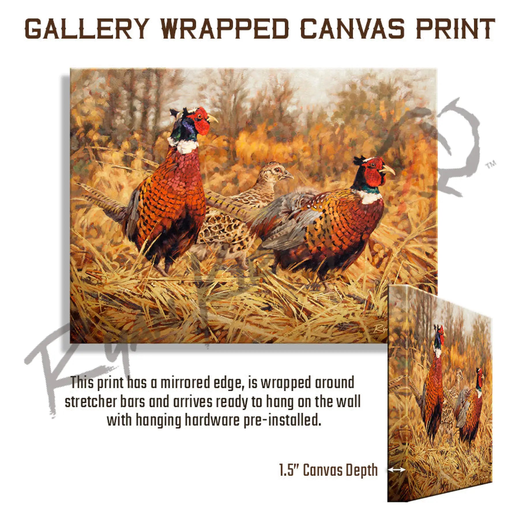 ’Ring-Neck Refuge’ Ring-Necked Pheasant Canvas Art Print Gallery Wrapped 18’’ X 24’’