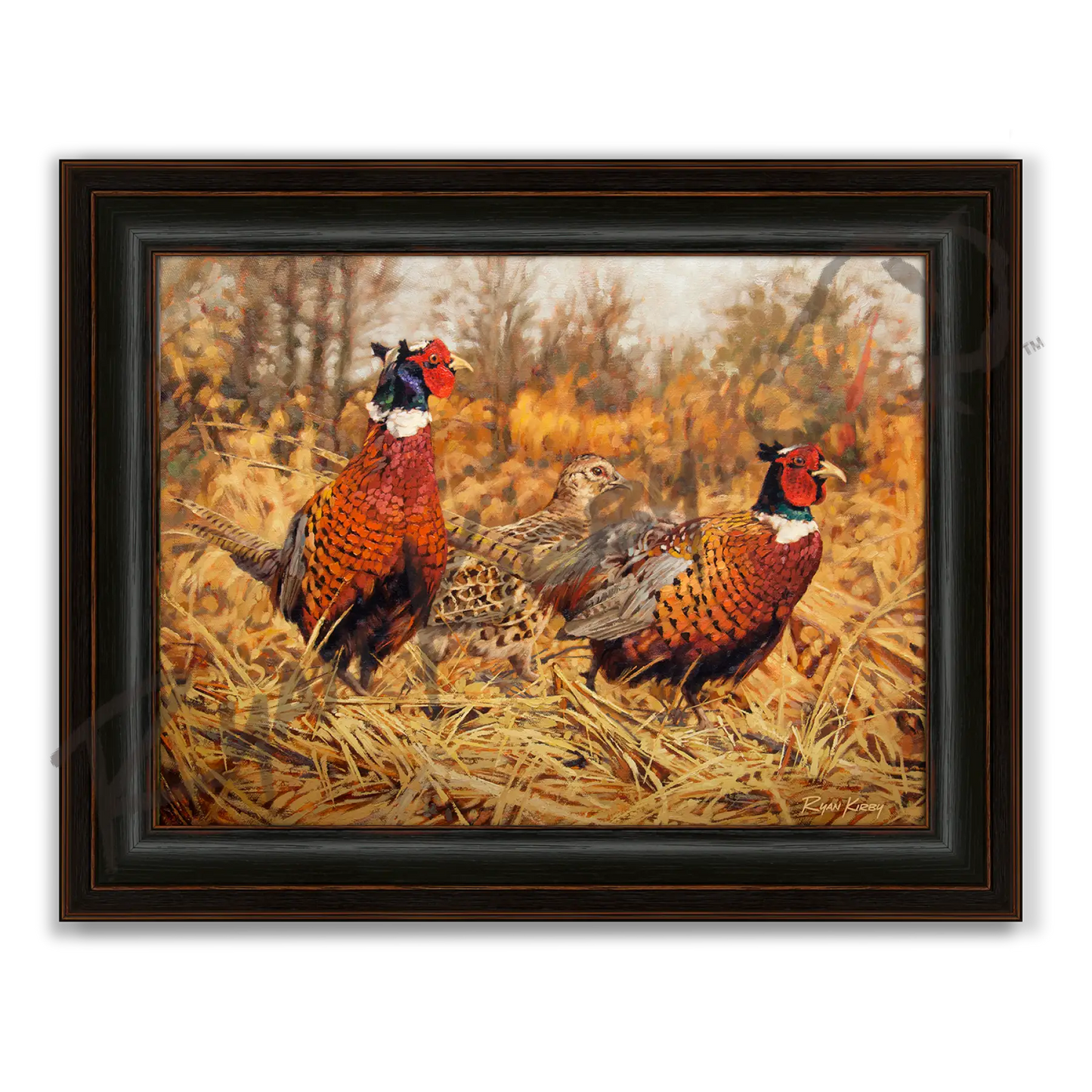 ’Ring-Neck Refuge’ Ring-Necked Pheasant Canvas Art Print - Midnight Oak - Canvas Print