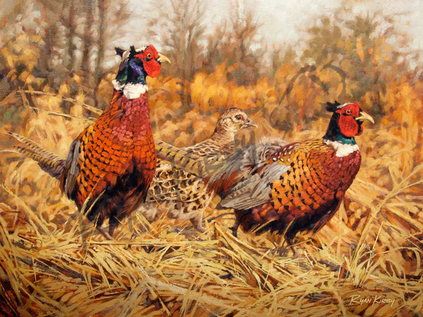 Framed Ring-Neck Pheasants in Landscape, Ringneck Pheasant Painting Print on Canvas, Vintage outlet Bird Dog Print, Cabin Decor, Giclée Wall Art