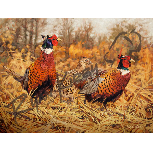 ’Ringneck Refuge’ Original Oil Painting