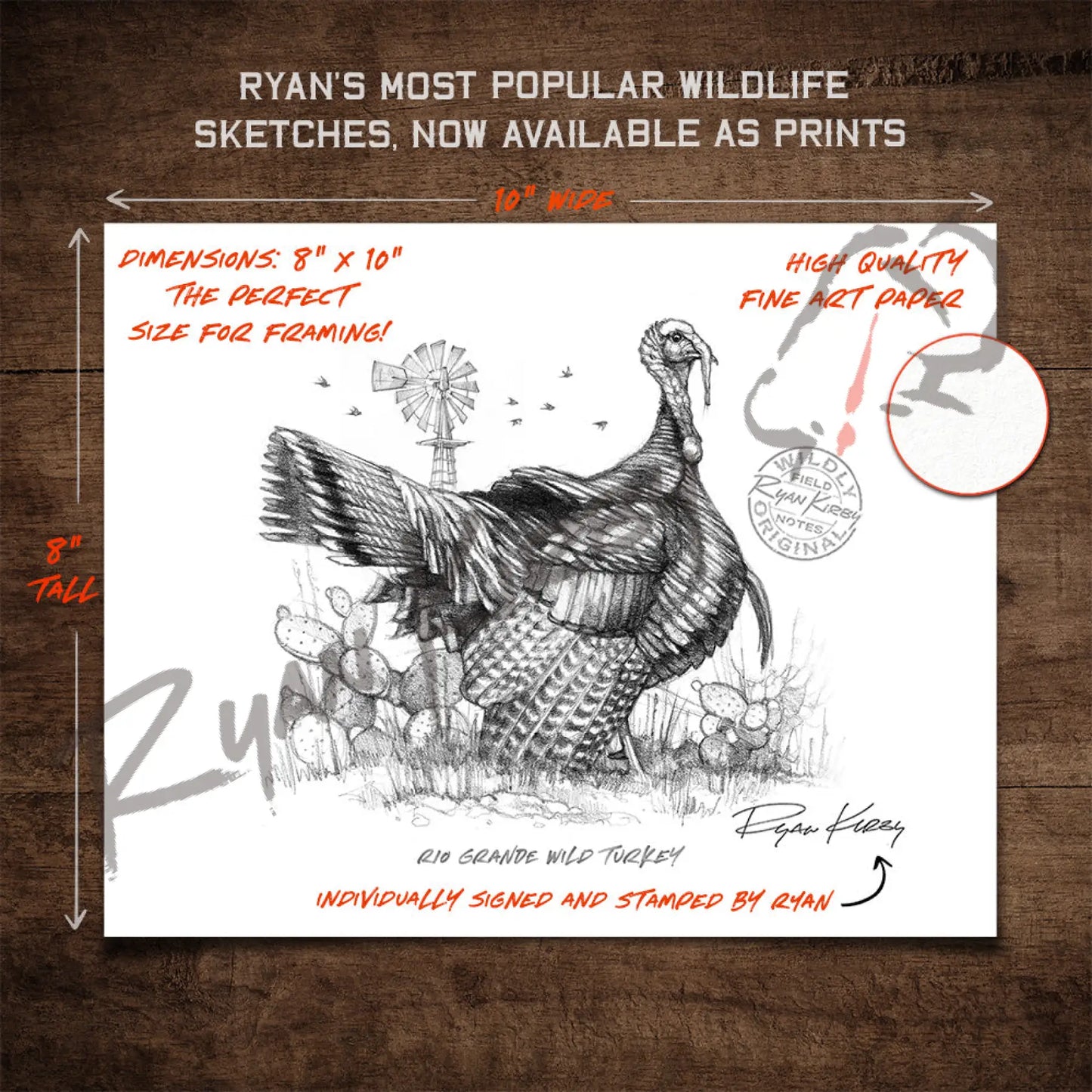 Rio Grande Wild Turkey Sketch Print