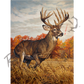 ’Running And Gunning’ White-Tailed Deer Canvas Art Print Unframed Rolled