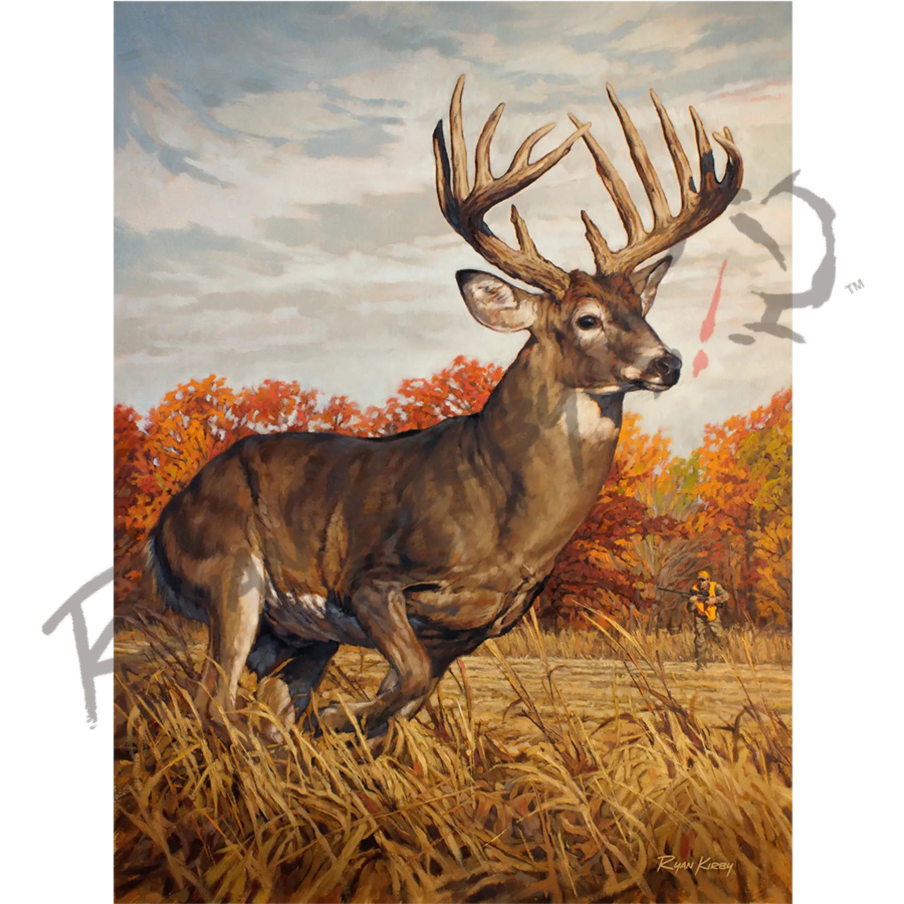 ’Running And Gunning’ White-Tailed Deer Canvas Art Print Unframed Rolled