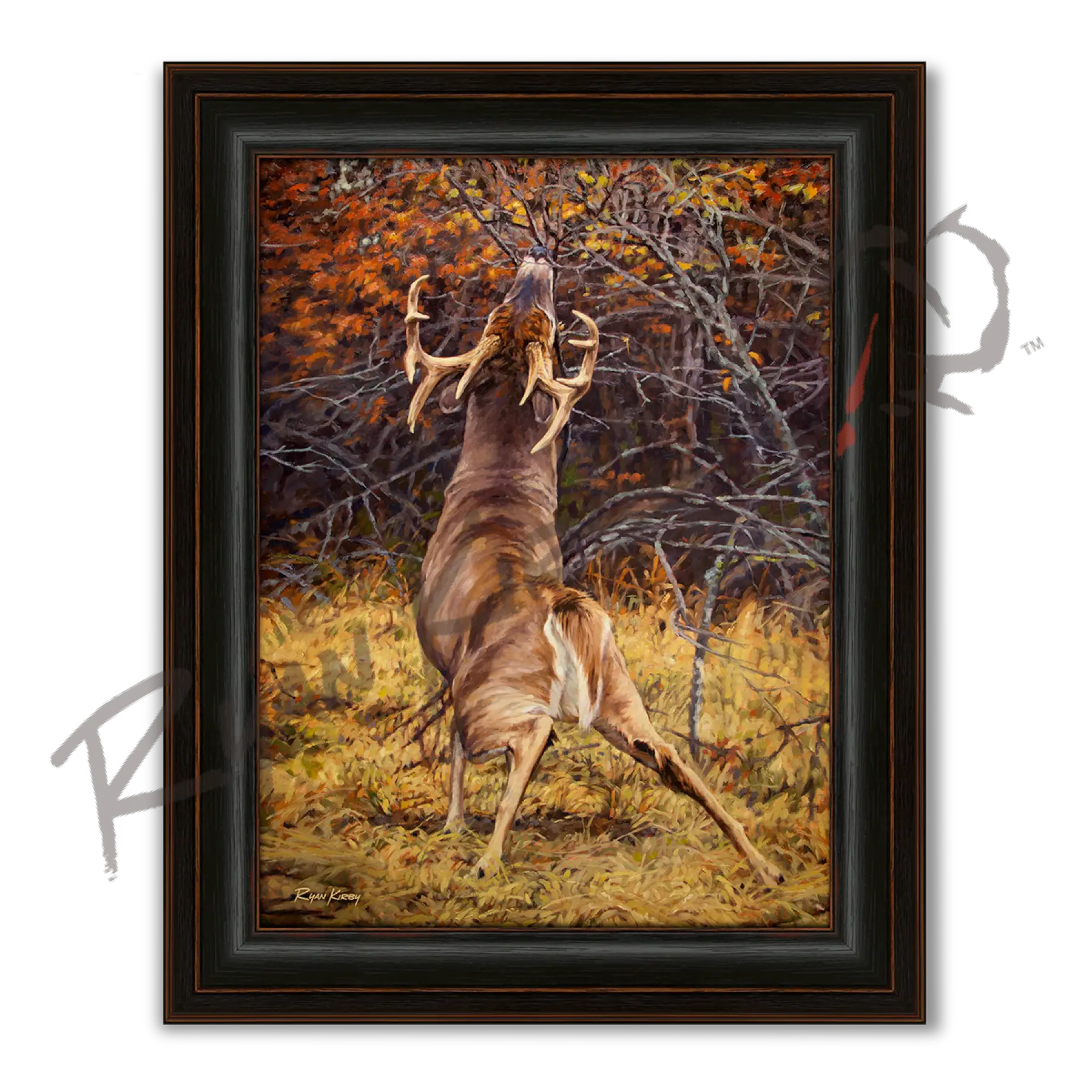 ’Scrape Line’ White-tailed Deer Canvas Art Print - Midnight Oak - Canvas Print