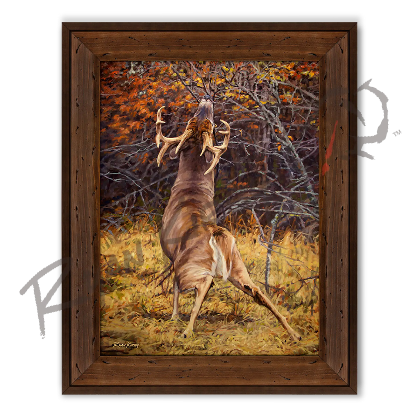 ’Scrape Line’ White-Tailed Deer Canvas Art Print Reclaimed Chestnut