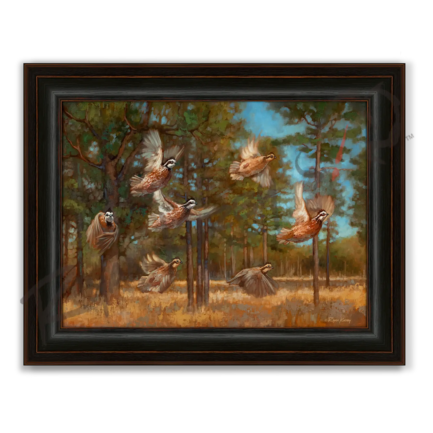 ’Seven Out’ Flushing Bobwhite Quail Canvas Art Print - Midnight Oak - Canvas Print