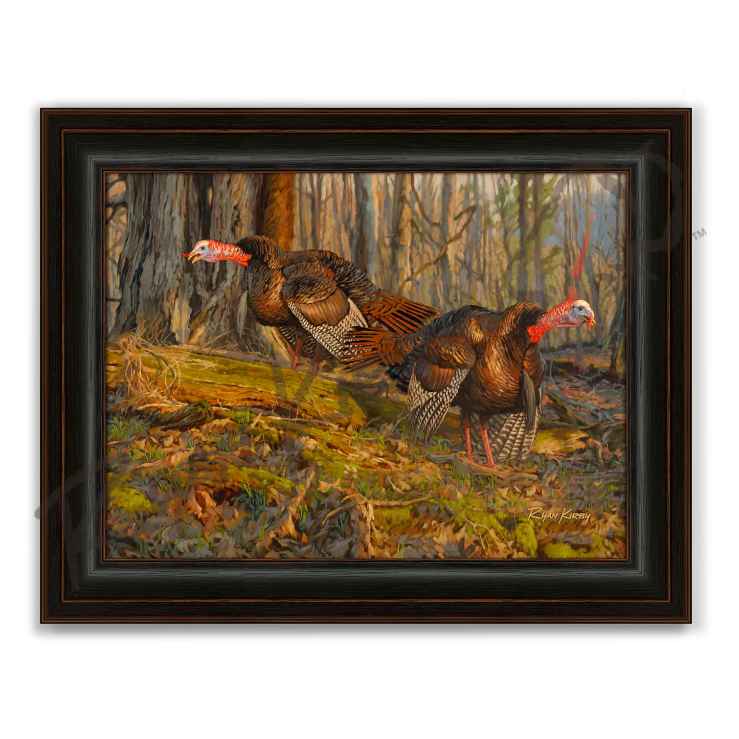 ’Sons of Thunder’ Wild Turkey Canvas Art Print - Midnight Oak - Canvas Print