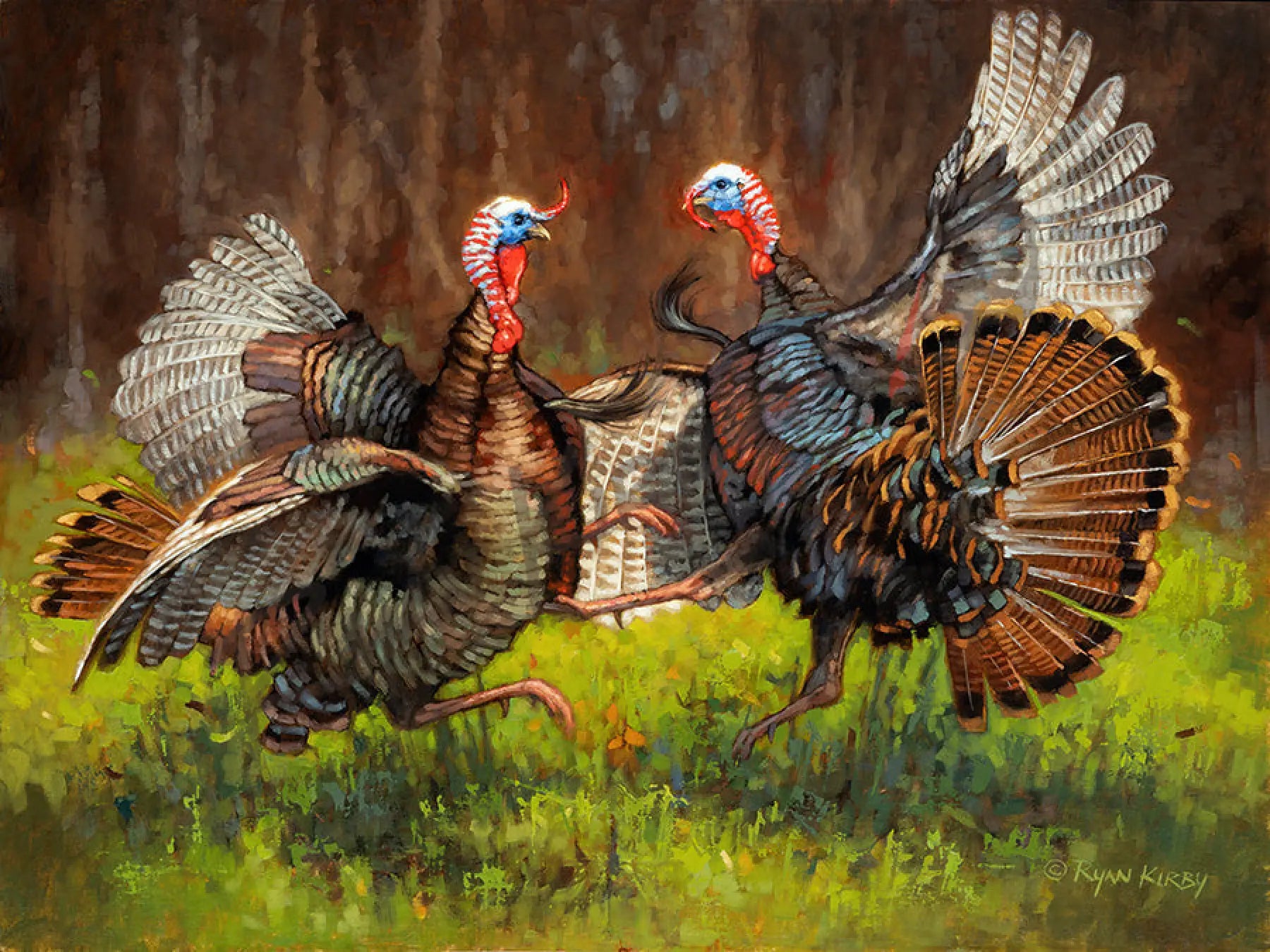 ’Spring In The Ring’ Original Oil Painting Of Fighting Wild Turkeys