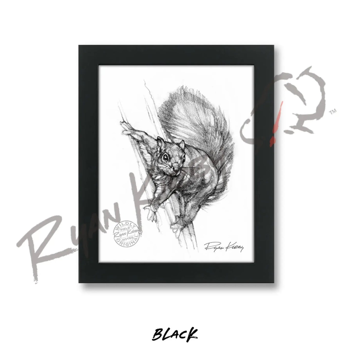 Squirrel Sketch Print Sketch Paper Print