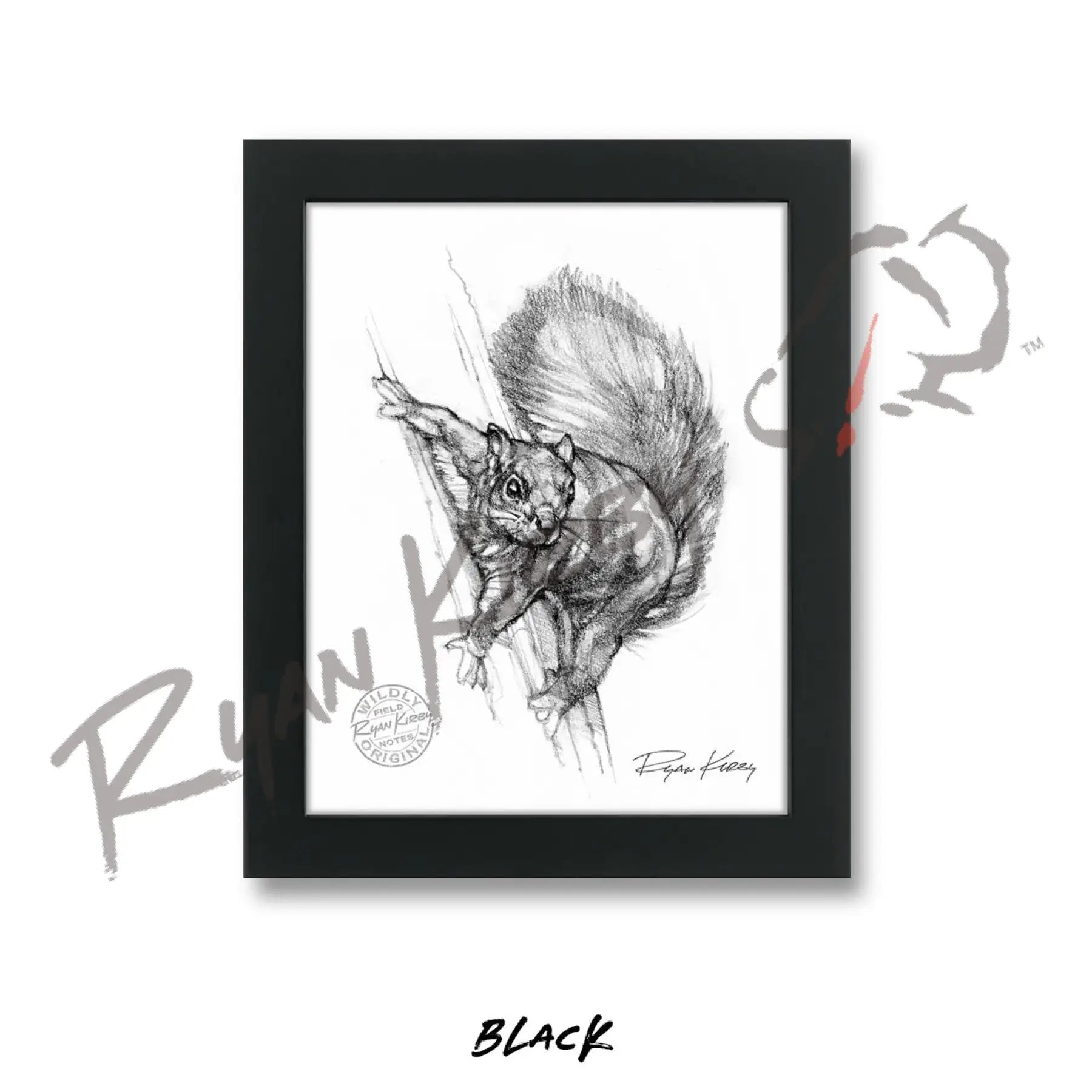 Squirrel Sketch Print Sketch Paper Print