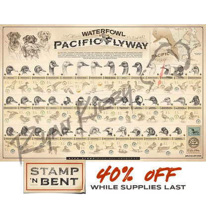 Stamp-N-Bent ’Waterfowl Of The Pacific Flyway’ Paper Print Unframed