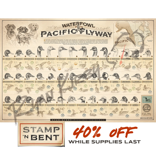 Stamp-N-Bent ’Waterfowl Of The Pacific Flyway’ Paper Print Unframed