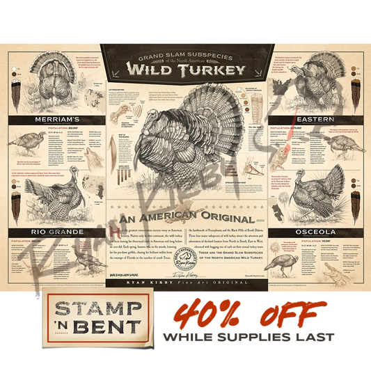 Stamp-N-Bent ’The Grand Slam Subspecies Of The North American Wild Turkey’ Paper Print Unframed