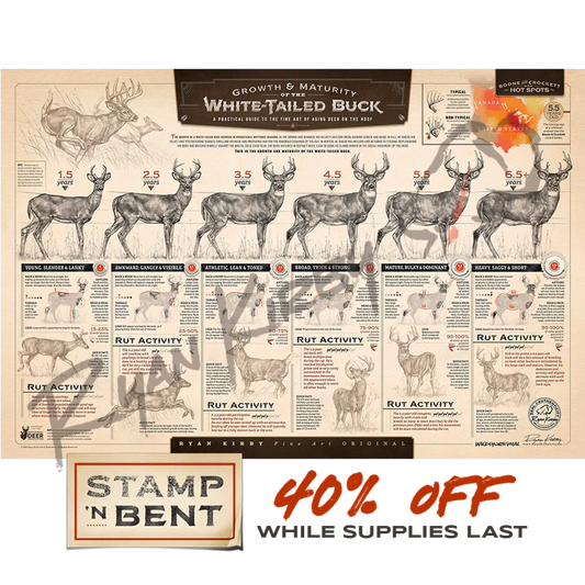 Stamp-N Bent ’The Growth And Maturity Of The White-Tailed Buck’ Paper Print Unframed Stamp-N-Bent
