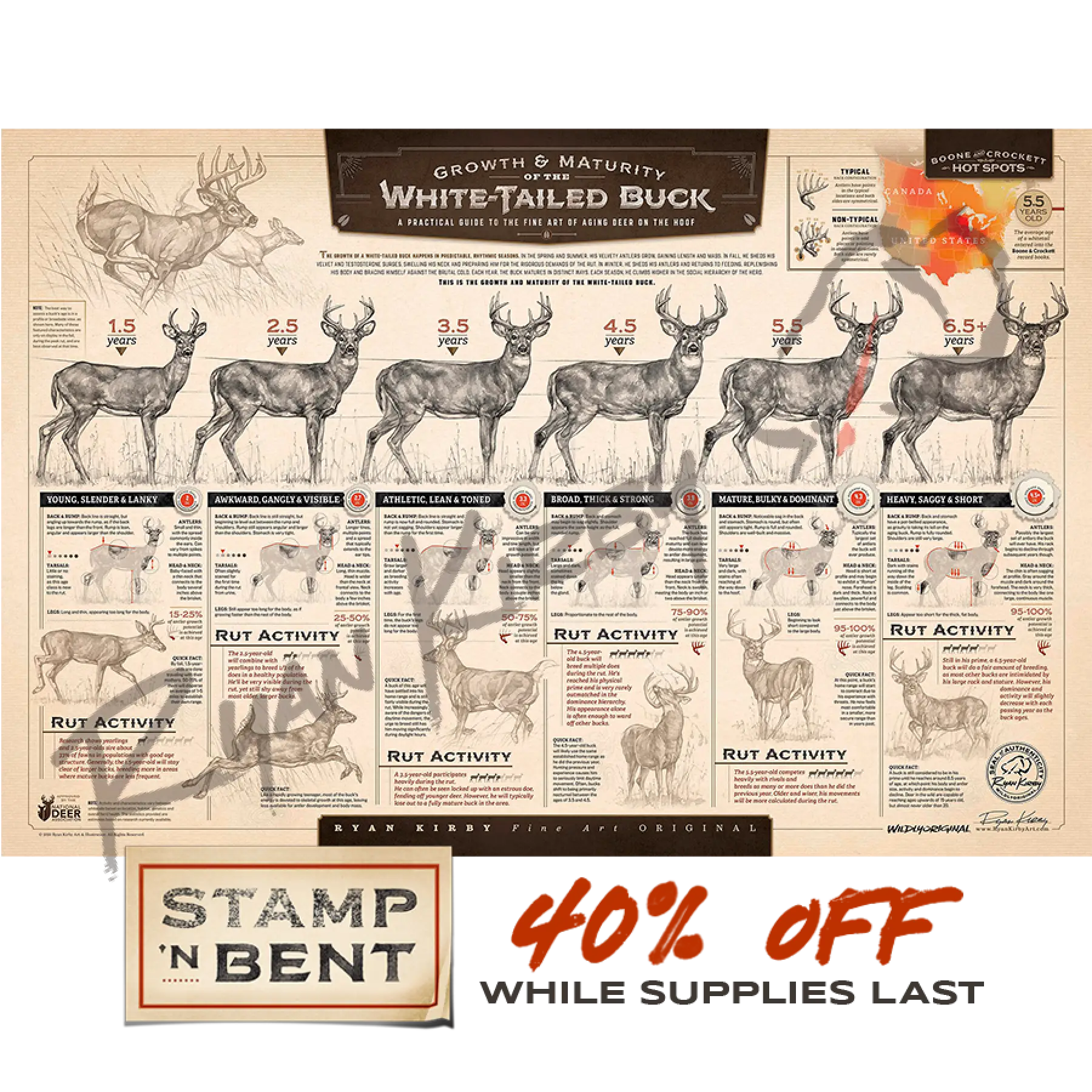 Stamp-N Bent ’The Growth And Maturity Of The White-Tailed Buck’ Paper Print Unframed Stamp-N-Bent