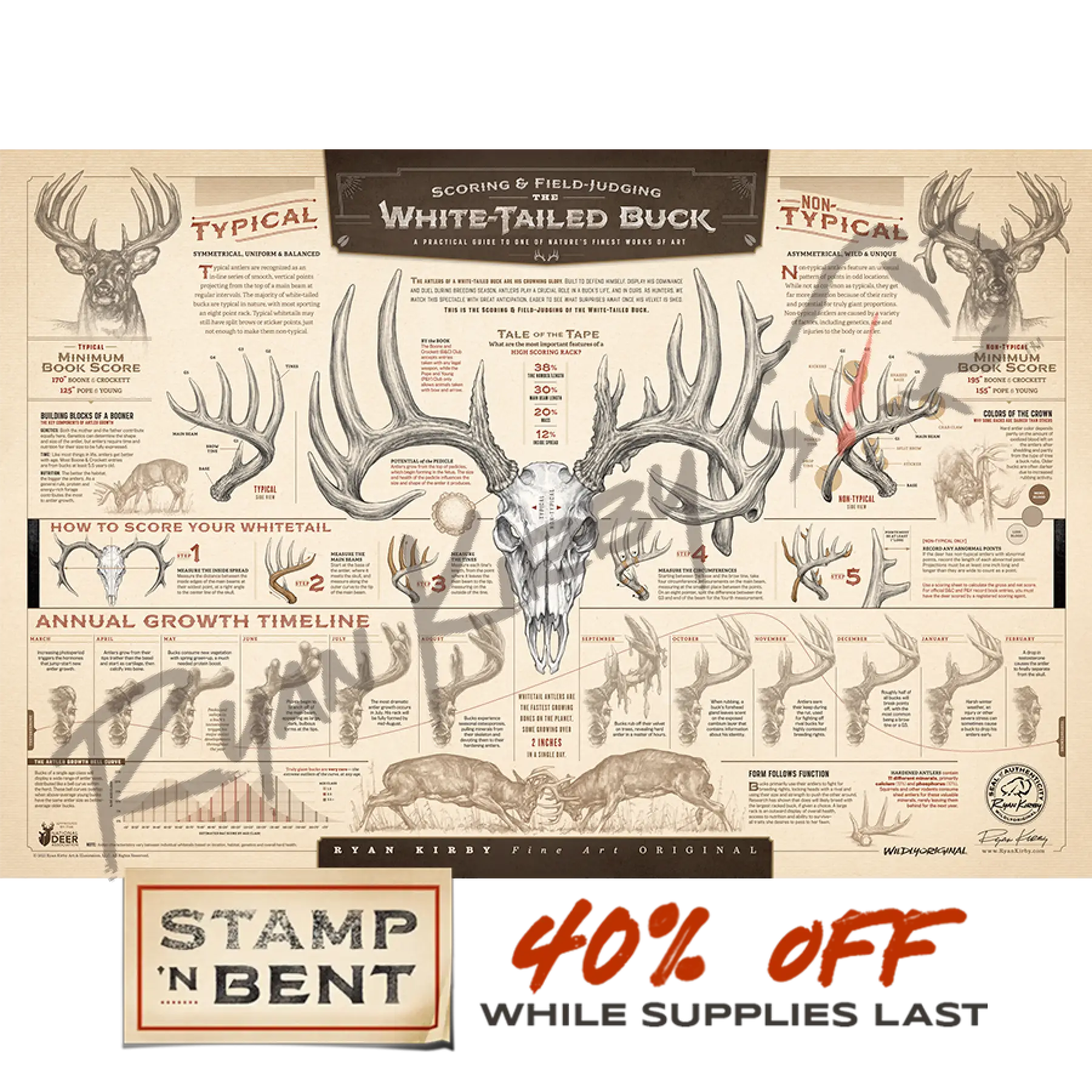 Stamp-N Bent ’The Scoring & Field-Judging Of The White-Tailed Buck’ Paper Print