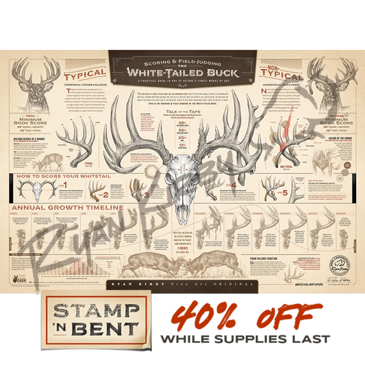 Stamp-N Bent ’The Scoring & Field-Judging Of The White-Tailed Buck’ Paper Print