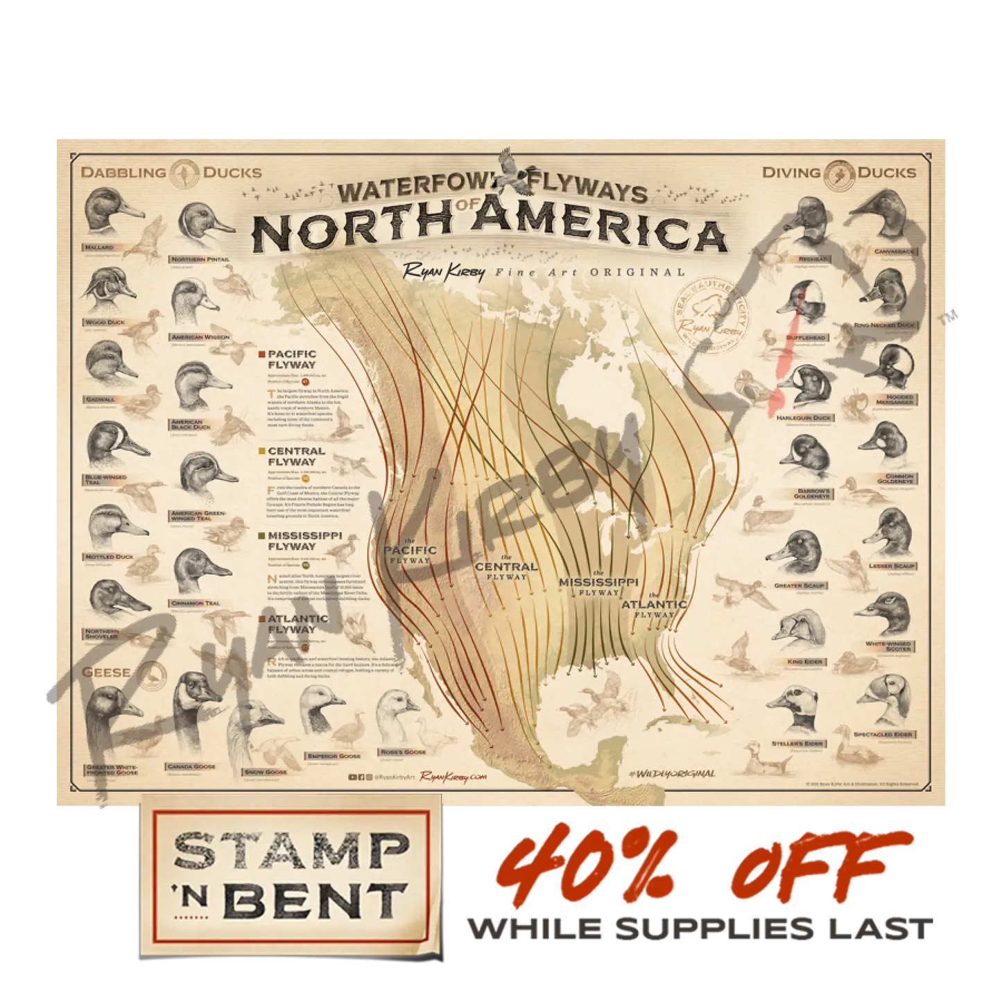 Stamp-N-Bent ’Waterfowl Flyways Of North America’ Poster