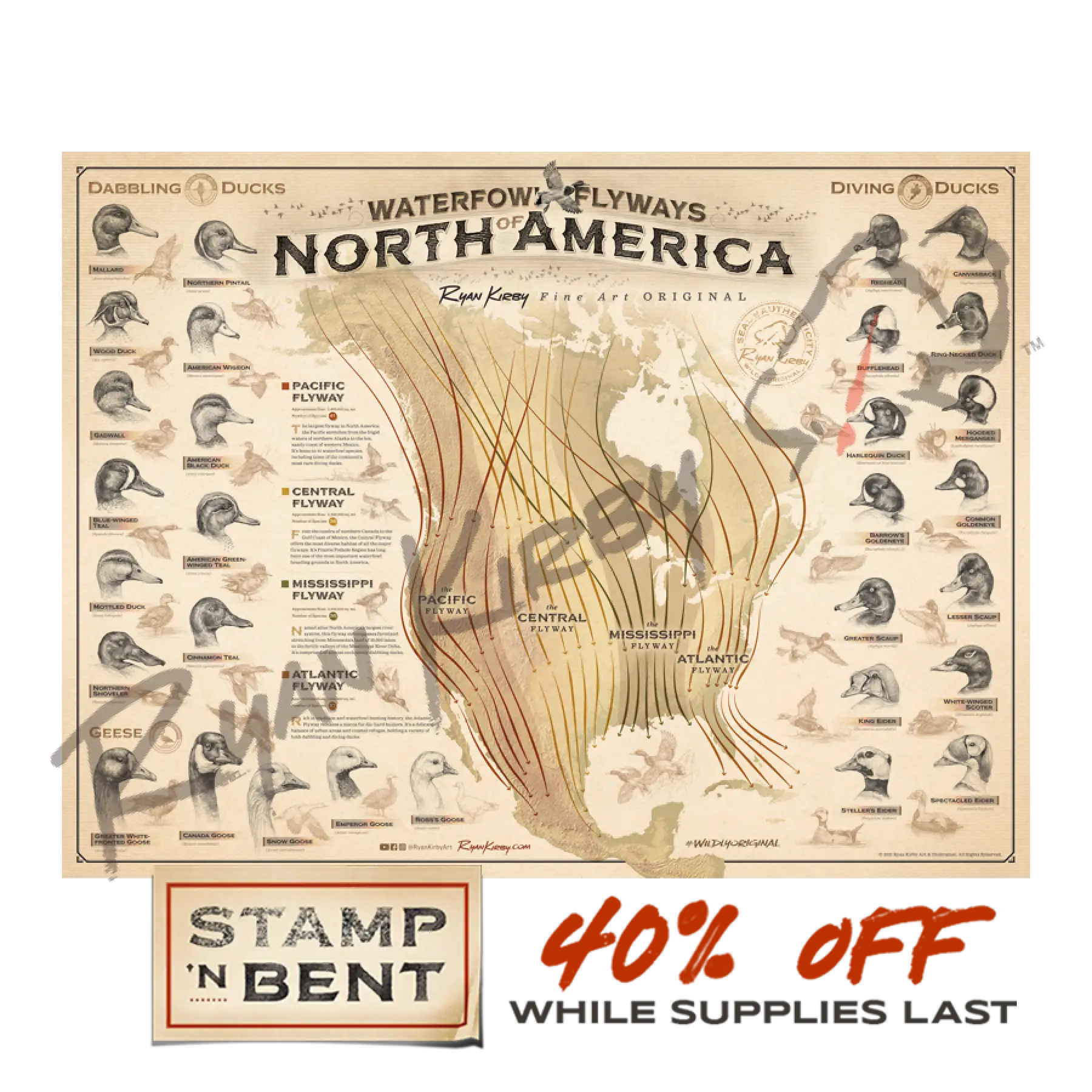 Stamp-N-Bent ’Waterfowl Flyways Of North America’ Poster