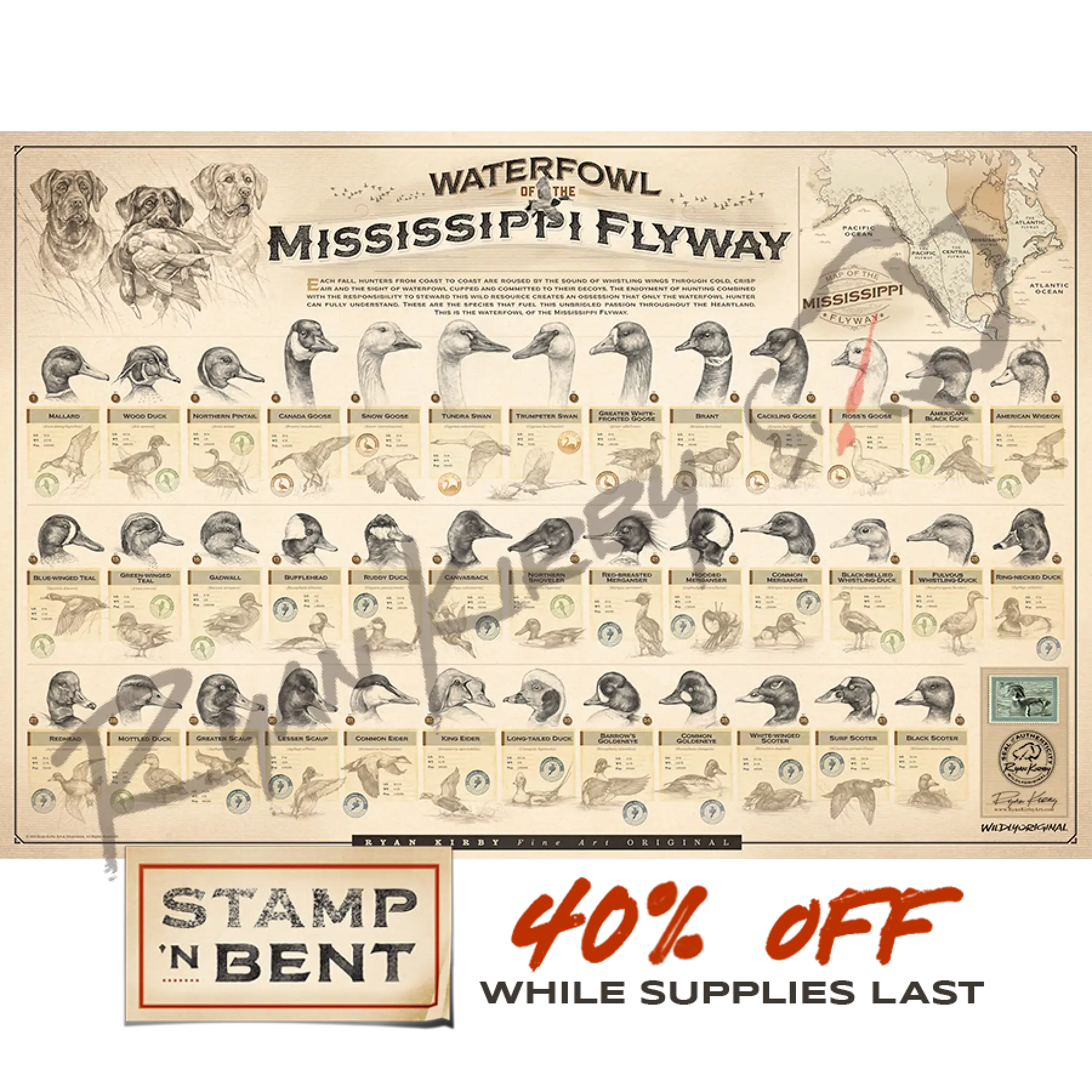 Stamp-N-Bent ’Waterfowl Of The Mississippi Flyway’ Paper Print Unframed