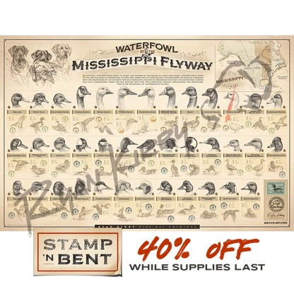 Stamp-N-Bent ’Waterfowl Of The Mississippi Flyway’ Paper Print Unframed