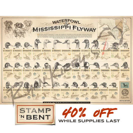 Stamp-N-Bent ’Waterfowl Of The Mississippi Flyway’ Paper Print Unframed