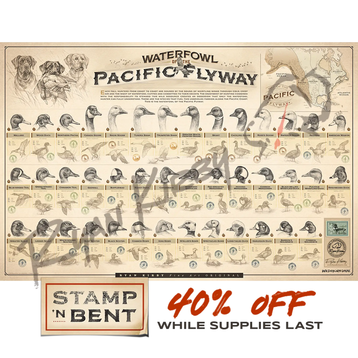 Stamp-N-Bent ’Waterfowl Of The Pacific Flyway’ Paper Print Unframed