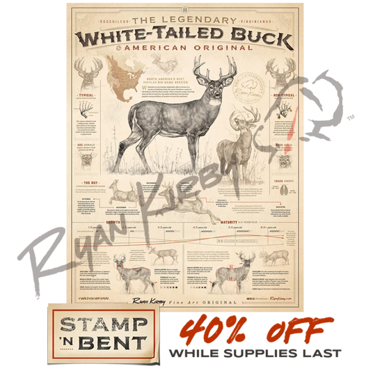 Stamp-N-Bent ’White-Tailed Buck: An American Original’ Poster