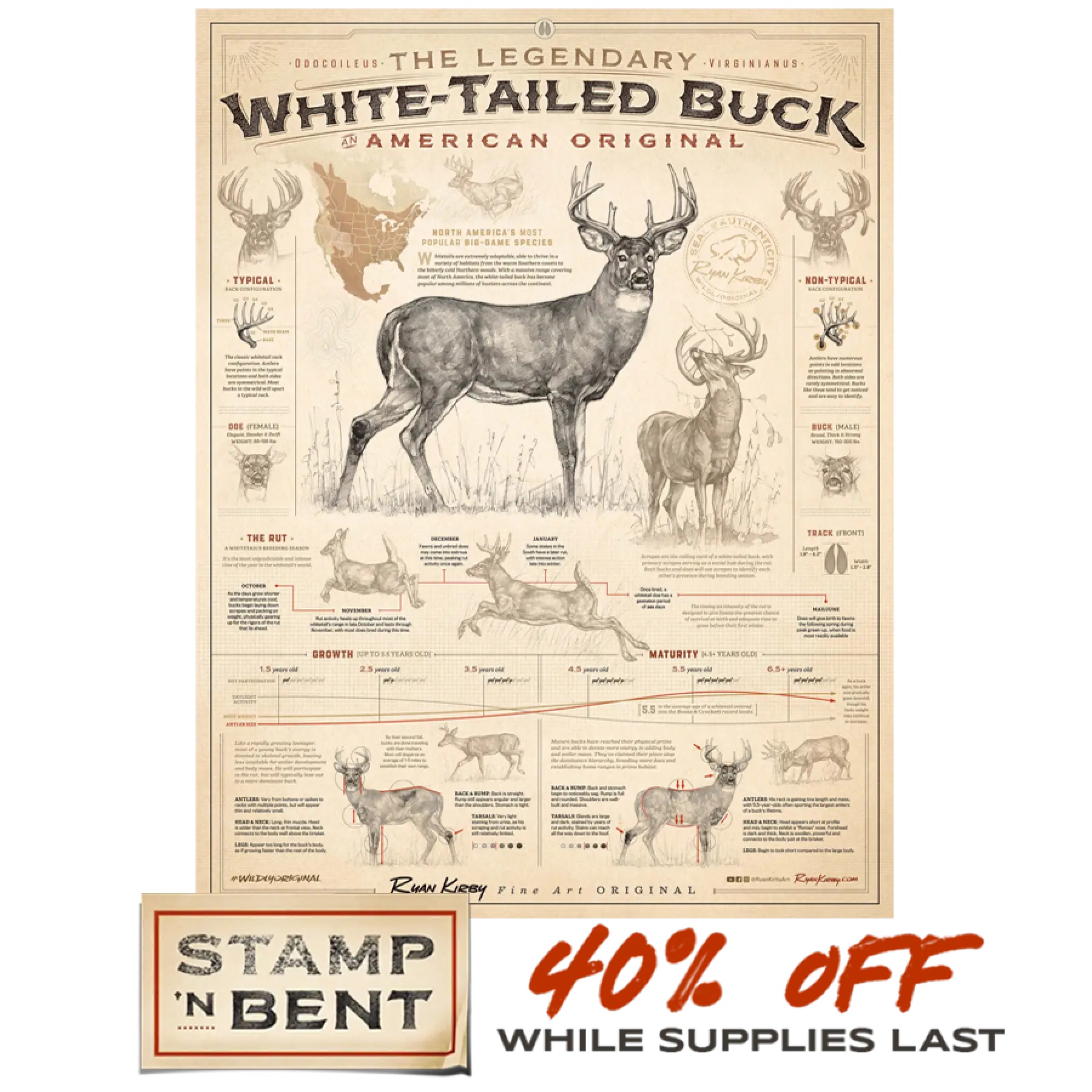 Stamp-N-Bent ’White-Tailed Buck: An American Original’ Poster