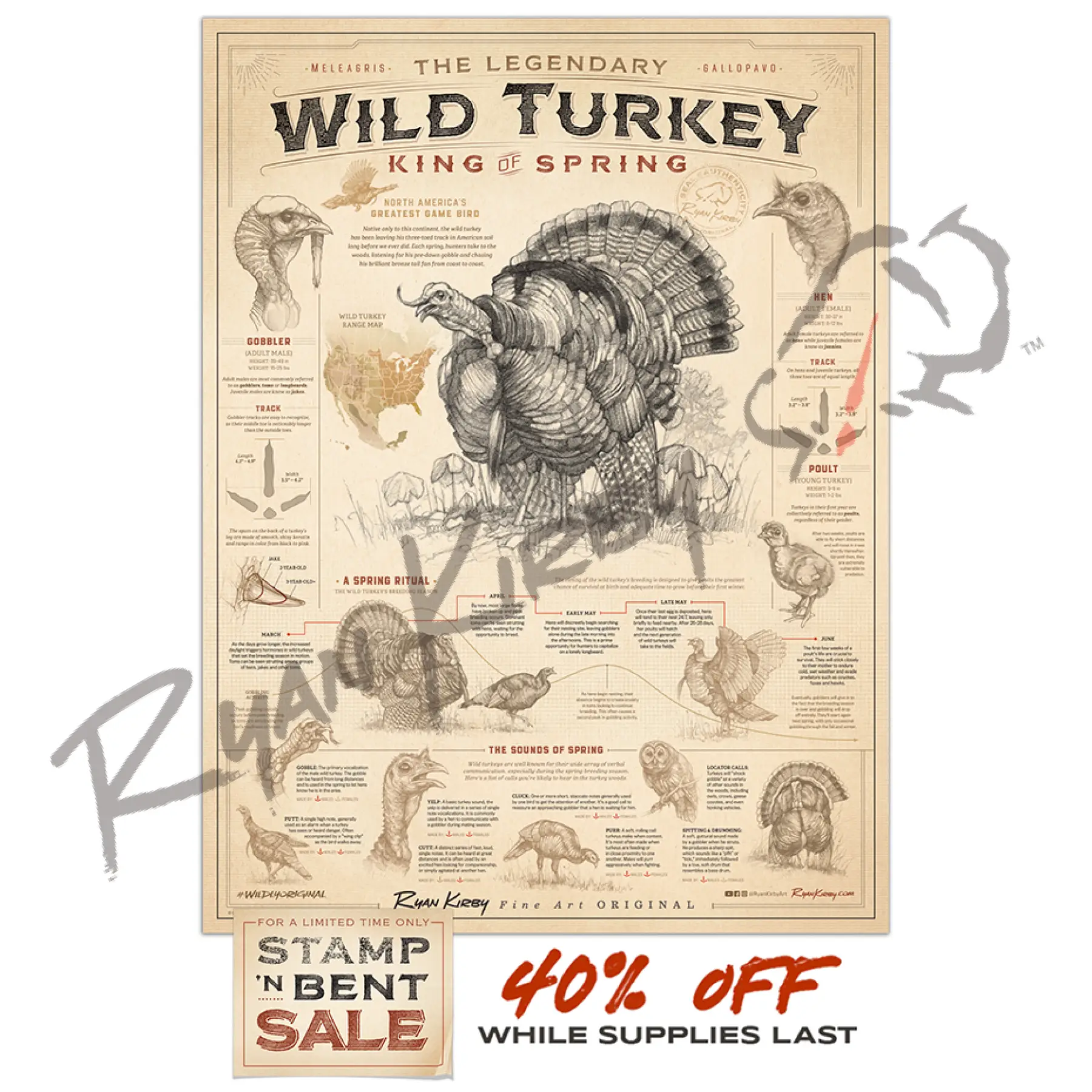 Stamp-N-Bent ’WILD TURKEY: KING OF SPRING’ ART POSTER Poster