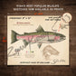 Steelhead Fine Art Print - Sketch Paper Print