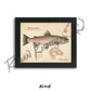 Steelhead Fine Art Print - Sketch Paper Print