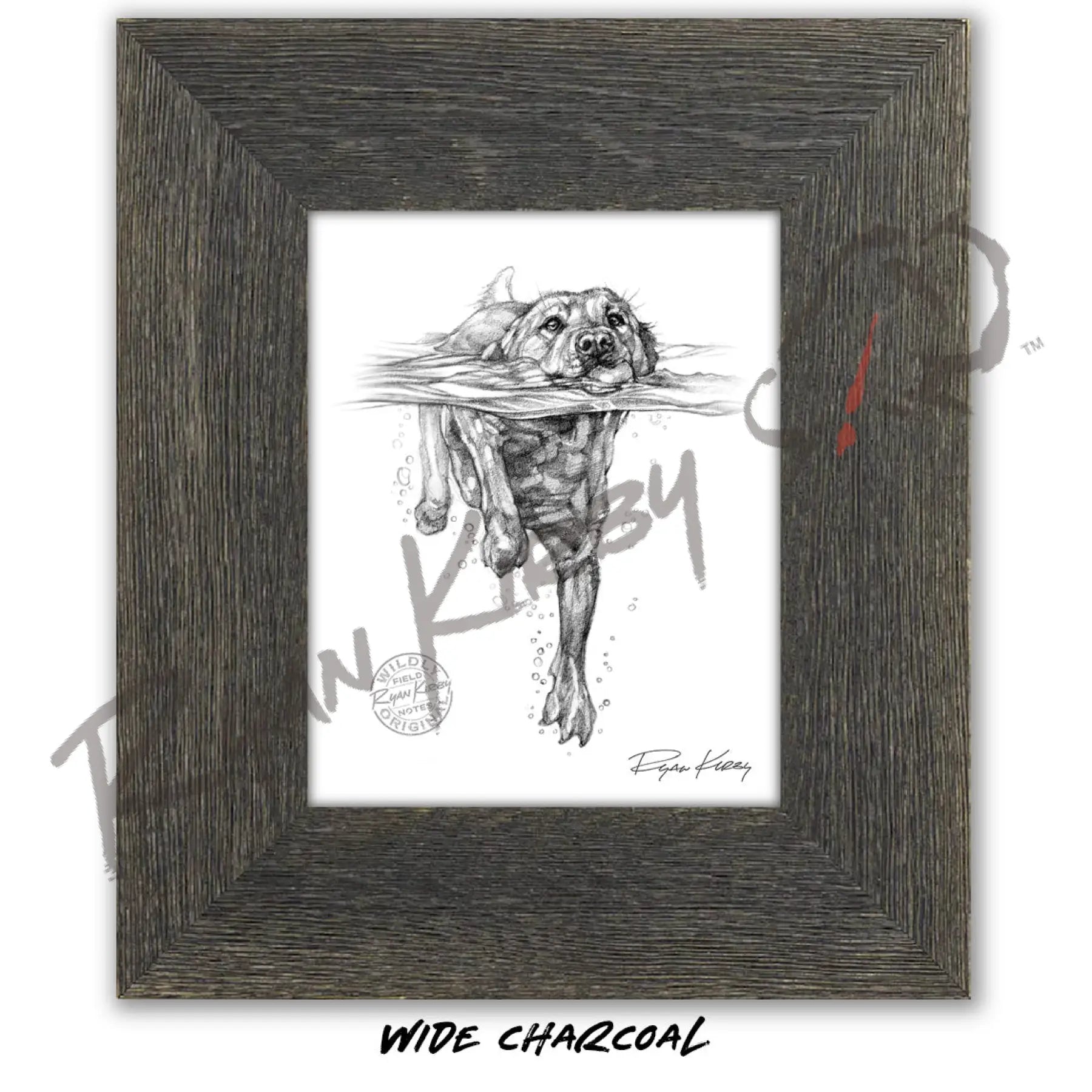 Swimming Labrador Retriever Sketch Print Sketch Paper Print