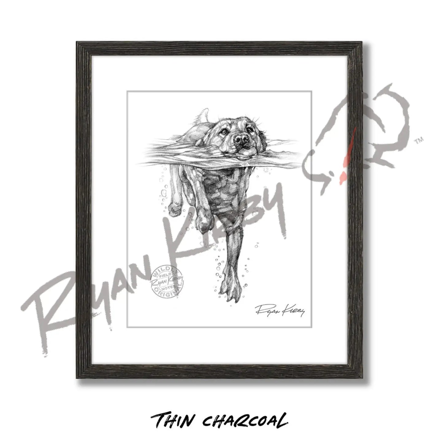 Swimming Labrador Retriever Sketch Print Sketch Paper Print