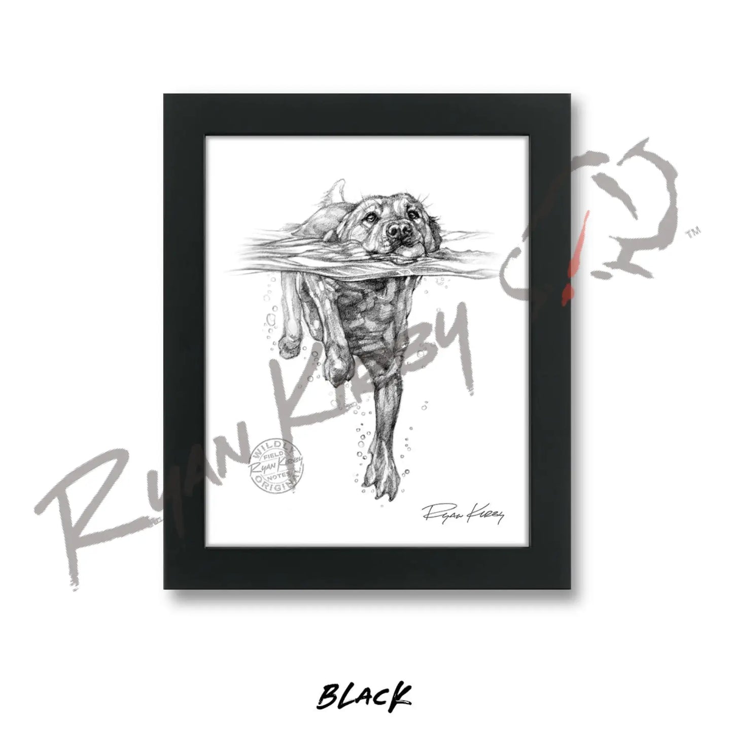 Swimming Labrador Retriever Sketch Print Sketch Paper Print