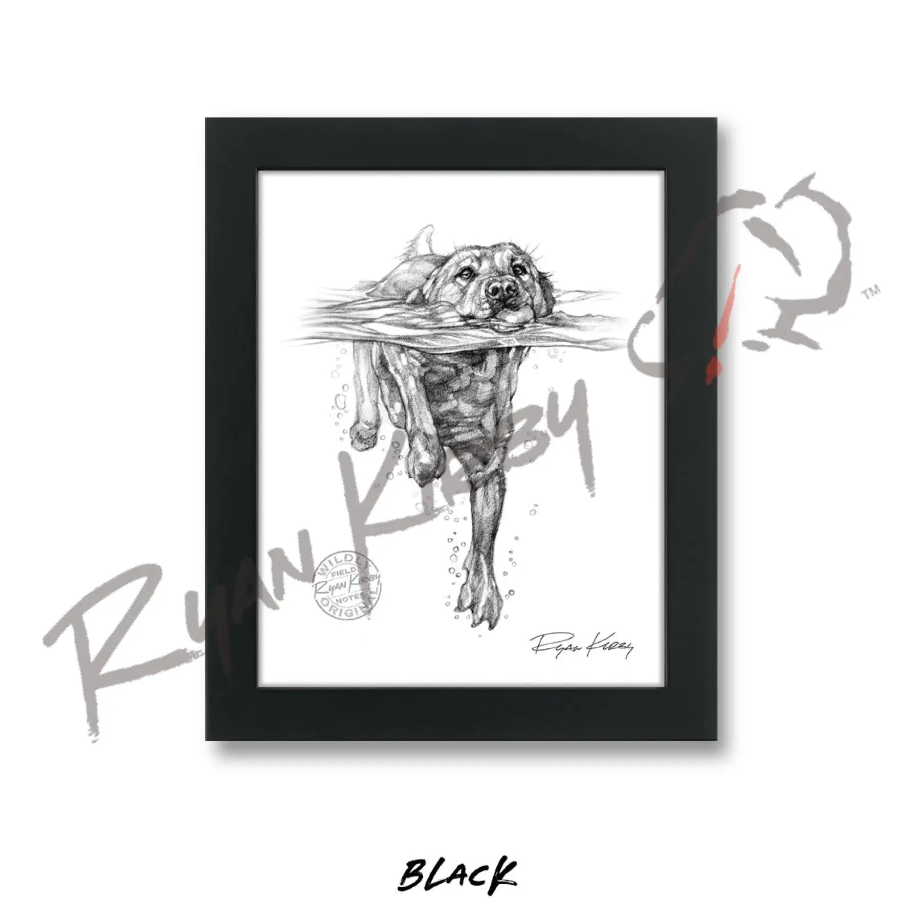 Swimming Labrador Retriever Sketch Print Sketch Paper Print