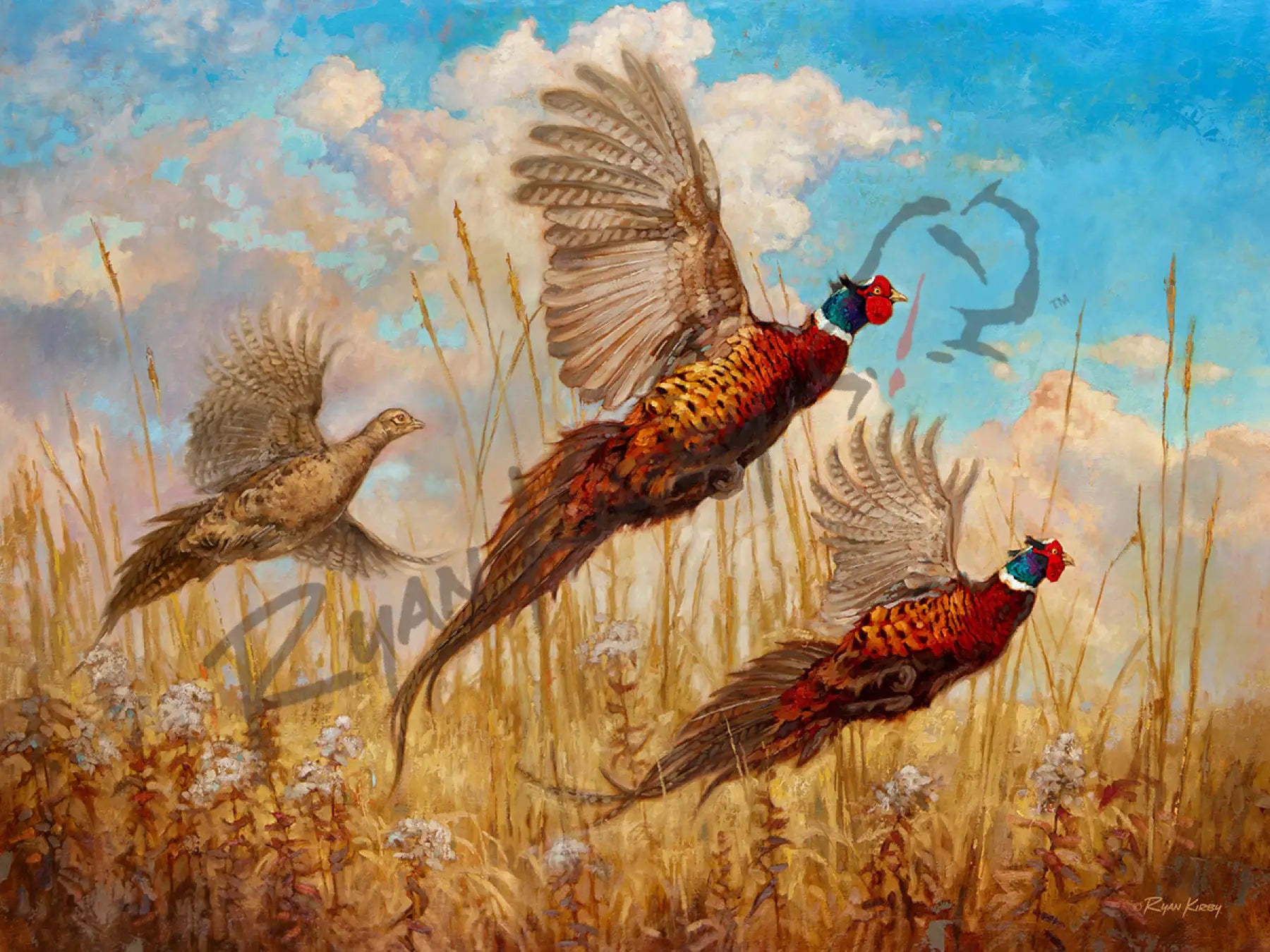 "The Departure" Pheasant Canvas Art Print