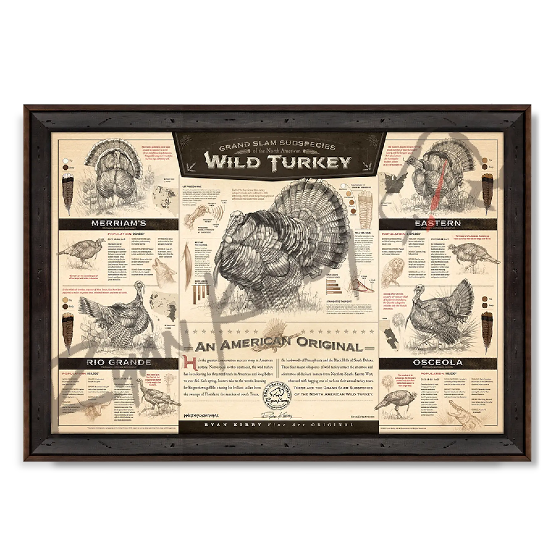 ’The Grand Slam Subspecies Of The North American Wild Turkey’ Paper Art Print Reclaimed Walnut