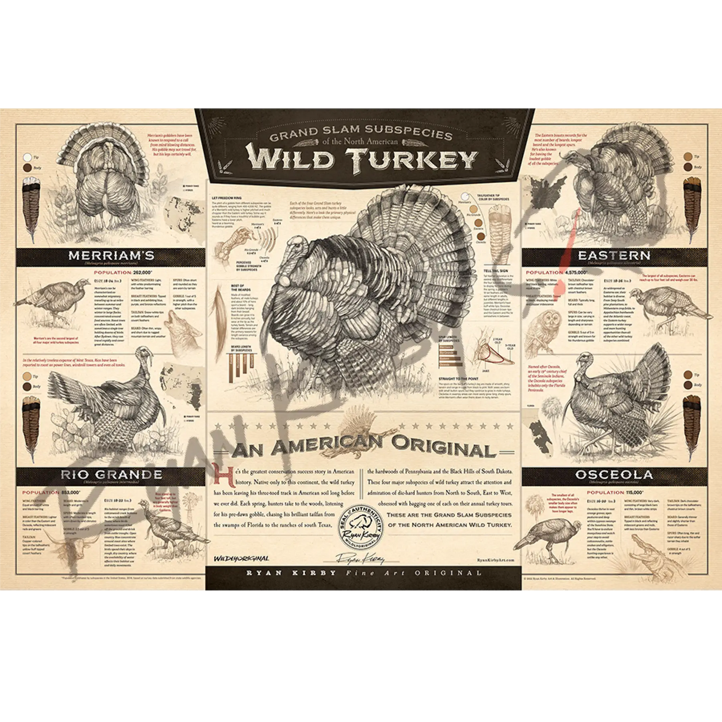 ’The Grand Slam Subspecies Of The North American Wild Turkey’ Unframed Paper Print