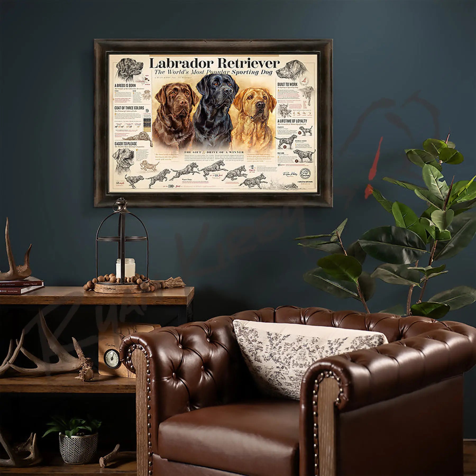 ’The Labrador Retriever’ Paper Print