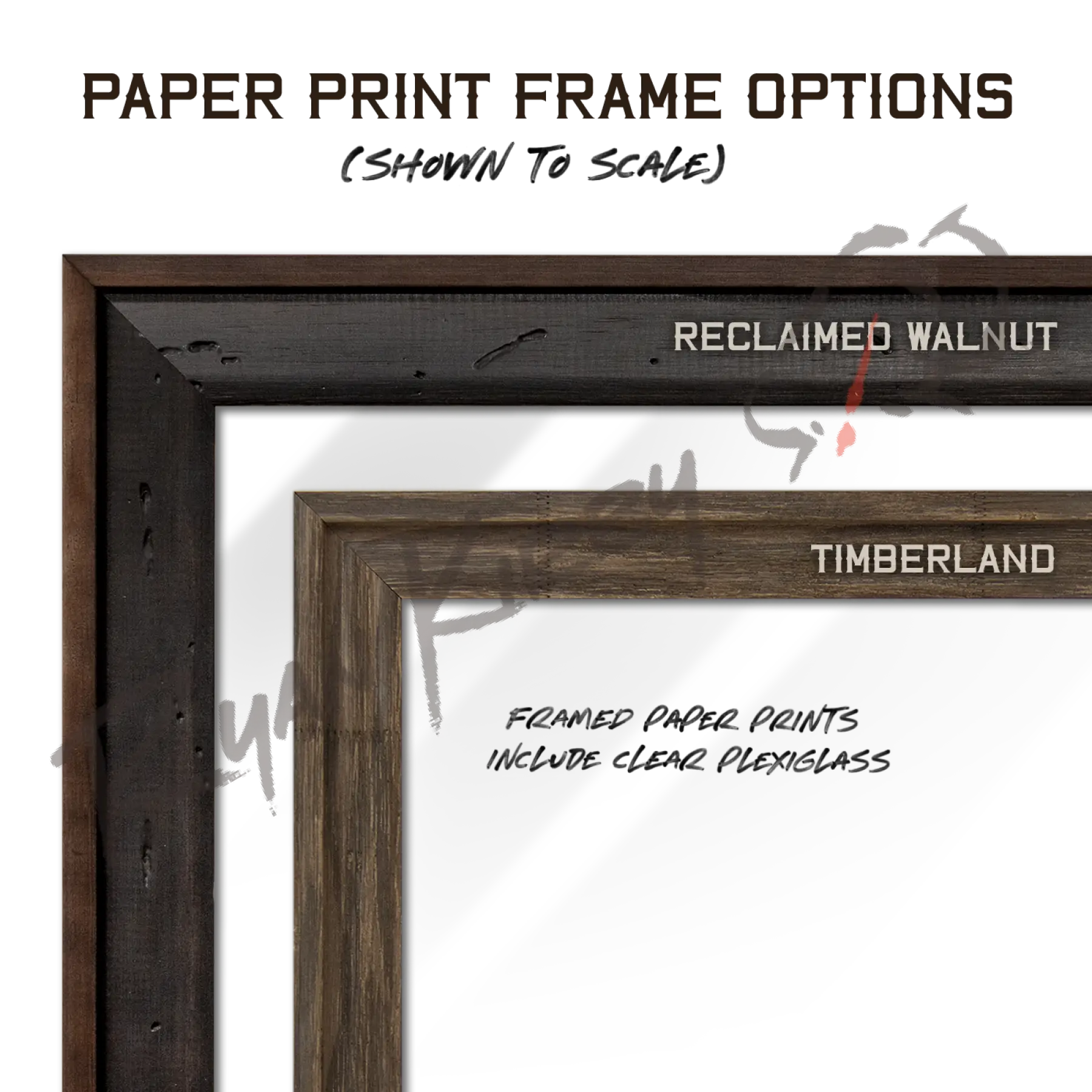 ’The Scoring & Field-Judging of the White-tailed Buck’ Paper Art Print Paper Print