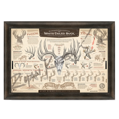 ’The Scoring & Field-Judging Of The White-Tailed Buck’ Paper Art Print Espresso Walnut