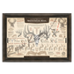 ’The Scoring & Field-Judging Of The White-Tailed Buck’ Paper Art Print Espresso Walnut