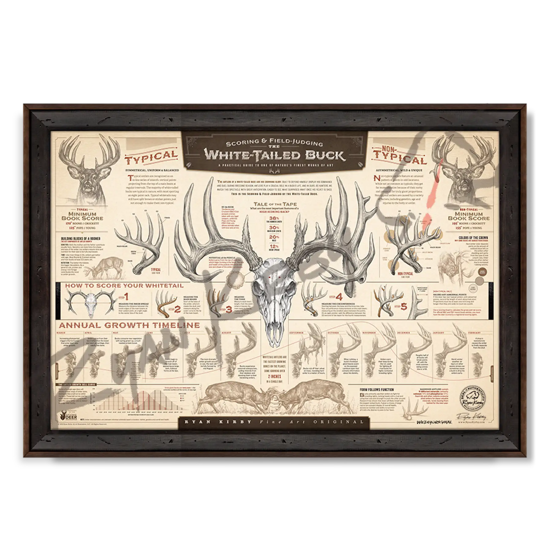 ’The Scoring & Field-Judging Of The White-Tailed Buck’ Paper Art Print Reclaimed Walnut