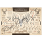 ’The Scoring & Field-Judging Of The White-Tailed Buck’ Paper Art Print