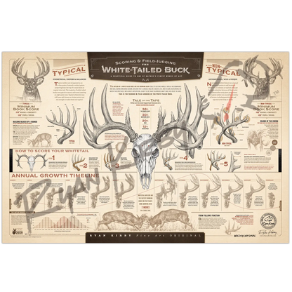 ’The Scoring & Field-Judging Of The White-Tailed Buck’ Paper Art Print