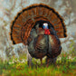 ’The Showman’ Original Oil Painting of Gobbling Wild Turkeys - Original Oil Painting