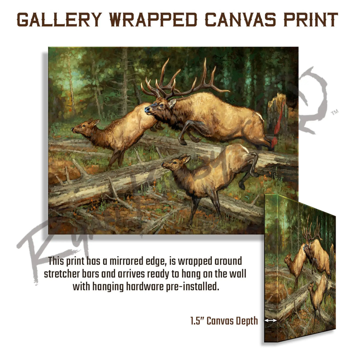 ’Thundering Herd’ Elk Canvas Art Print - Gallery Wrapped - Canvas Print